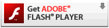 Adobe Flash Player is required to play Ronin.