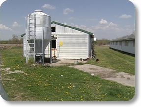 Man hides in manure to avoid arrest PHOTO