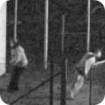 Image: Really Dumb Burglars