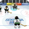 Image: Ice Hockey
