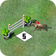 Image: Show Jumping