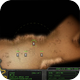 Image: Steam of War