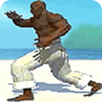 Image: Capoeira Fighter
