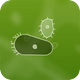 Image: Microbe Kombat