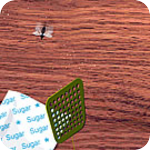 Image: Fly Swatter