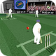 Image: Cricket Challenge