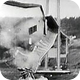 Image: The Collapse of the Tacoma Narrows Bridge