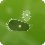 Image: Microbe Kombat