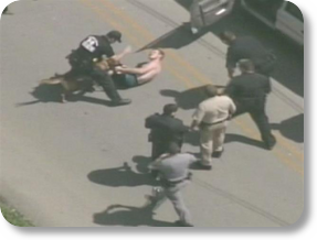 Suspected carjacker leads police on multicounty chase PHOTO