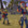 Image: Jak 3